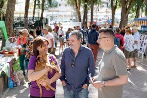 Una decena de perros encuentran un nuevo hogar en el VII Festival de la Adopción de l’Alfàs