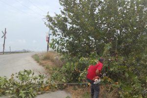 L’Ajuntament de Xàtiva incorporarà 34 persones per a la reparació, desbrossament i neteja de camins rurals