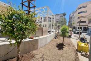 Comienza la plantación de 50 nuevos árboles, plantas arbustivas y espacios verdes en el entorno de la Plaza del Zapatero