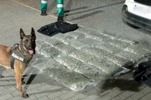 Detenido un joven con polen de hachís y 26 kilos de cogollos de marihuana en un área de servicio de la autopista de Castellón