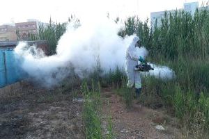 Nules intensifica la lluita contra els mosquits en diferents punts del terme municipal