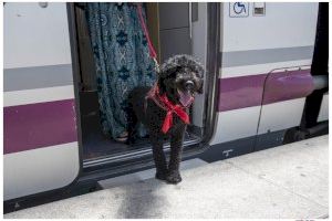 Renfe permite perros de hasta 40 kilos en los AVE entre Madrid, Valencia y Alicante