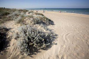 El Ayuntamiento de Valencia y Costas llegan a un acuerdo para el cierre de las playas del sur