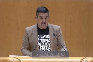 Iniciativa-Compromís elige a Carles Mulet para que continúe como senador territorial