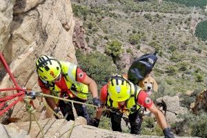 Rescatan a un perro tras caer 20 metros en una zona de difícil acceso en Sagunto