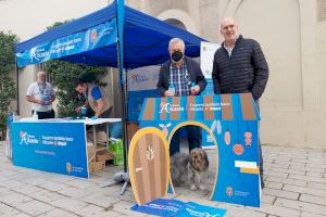 Limpieza y UTE Alicante arranca una campaña de seis días para concienciar sobre la tenencia de mascotas