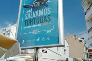 Alcalà-Alcossebre se suma a la IV Campaña de Concienciación “Tortugas en el Mediterráneo” de la Fundación Oceanogràfic