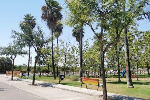 La Brigada Municipal actúa en los árboles cuyo crecimiento causa molestias al vecindario y viandantes