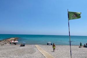 ¿Cómo nos afecta a los valencianos del calentamiento del mar Mediterráneo?