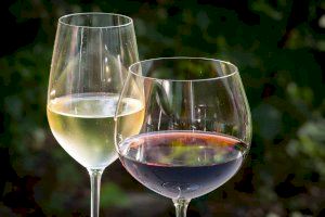 Los vinos de Alicante DOP ganan presencia nacional con precios más elevados en Madrid, Barcelona y Bizkaia