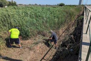 Moncofa lleva a cabo la limpieza y adecuación de acequias y caminos rurales