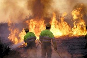 Máximo riesgo de incendio forestal: una masa de aire cálido disparará las temperaturas en las próximas horas