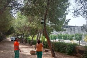 El Ayuntamiento de Paterna comienza con las labores de control de la procesionaria de pino durante los meses de verano