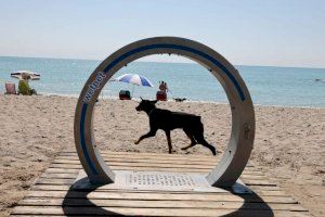 Moncofa mejora la playa canina de Masbó con una nueva ducha