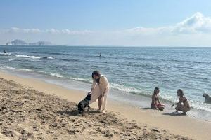 Food truck, tumbonas y pipi can: Así es la primera ‘Doggy Beach’ de la Comunitat Valenciana