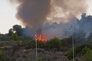 Los bomberos sofocan un incendio de vegetación en La Vall d'Uixó