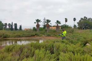 Ayuntamiento de Torreblanca y Diputación coordinan tratamientos aéreos y terrestres para combatir los mosquitos