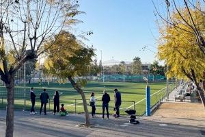 Alicante adjudica por 3,8 millones de euros la renovación de tres campos de fútbol y el mantenimiento de las zonas deportivas