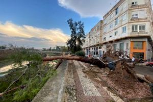 GALERIA | Rebentada humida: vents de 132 km/h sembren el caos a Borriana