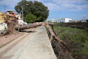 Borriana sol·licitarà la Zona Catastròfica després de l'assot de la rebentada humida