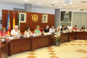 El pleno de Novelda aprueba la renovación de los consejos sectoriales