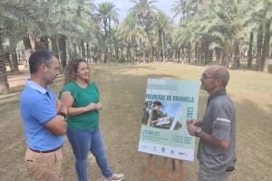 Medio Ambiente presenta el II Premio Internacional de Pintura “Palmeral de Orihuela”