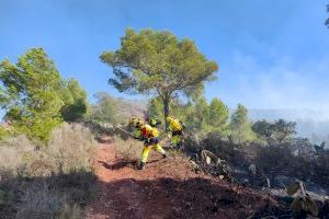 Estabilitzat l'incendi forestal al monte Picaio de Puçol
