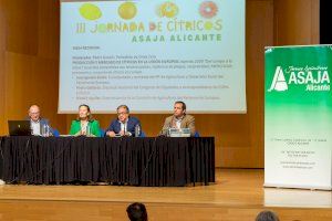 ASAJA Alicante denuncia que Europa discrimina a los cítricos de la provincia permitiendo la entrada de otros de terceros países