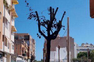 Compromís de Sant Joan d’Alacant, critica a l’equip de govern per la mala gestió en la instal·lació de les penyes en festes