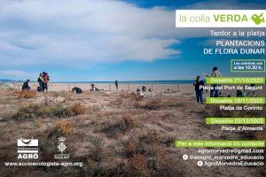 La Colla Verda programa tres plantaciones de flora dunar para este otoño