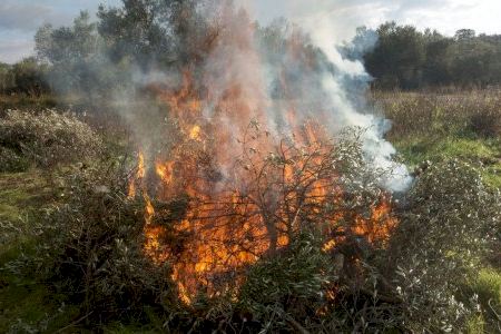 Vinaròs anuncia cuándo se abrirá el nuevo periodo de quemas de los restos agrícolas