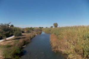 Riba-roja sancionará con hasta 600 euros de multa el vertido de productos contaminantes al río y las acciones contra la flora y la fauna