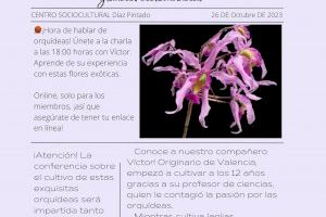 La AOB ofrece una nueva charla sobre laelias, schomburgkias y myrmecophylas, tres especies de orquídeas