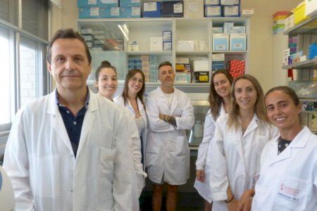 La Universitat de València investiga un fàrmac per a la distròfia muscular de cintures, una malaltia rara sense cura
