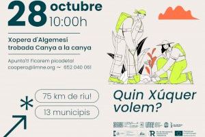 Sueca participa un any més en la campanya Canya a la canya