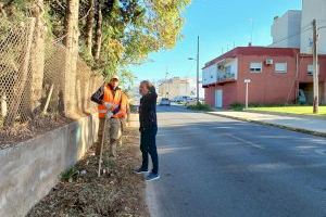 Benicarló desbrossa les cunetes de tres dels vials amb més trànsit de la ciutat