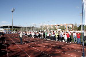 Vora 800 esportistes participen dijous en la XXVIII Jornada UPAPSA en la UA