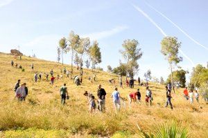 El Puig es prepara per donar un nou impuls al seu futur verd amb ReforestACTION