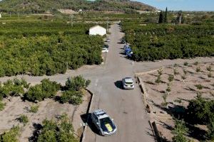 Gran dispositivo en Almenara: la Policía Local de Almenara y la Guardería Rural vigilan la recolección de cítricos