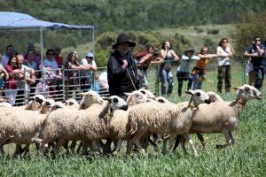 Un pueblo de Castellón reunirá a los ganaderos de alta montaña de toda España