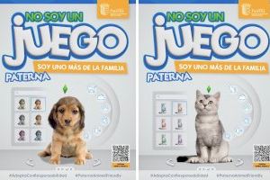 Paterna lanza diversas campañas navideñas para fomentar la adopción de animales e impulsar la tenencia responsable de mascotas en la ciudad