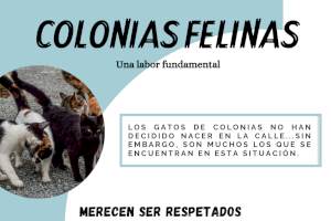 La SPAB informa en enero sobre las colonias felinas y solicita colaboración