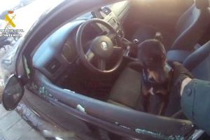 Rescatan a un bebé y un perro atrapados dentro de un coche en Oliva al dejarse la madre las llaves dentro