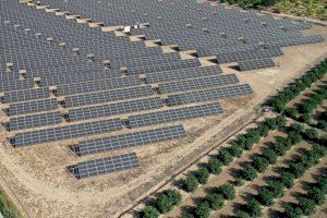 La Comisión Europea investigará las macroplantas fotovoltaicas de les Useres, Cabanes, Vilafamés y les Coves