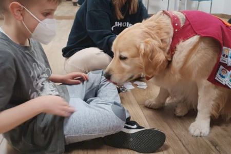 Vithas Aguas Vivas y Fundación Aladina incorporan la terapia asistida con perros para pacientes pediátricos oncológicos