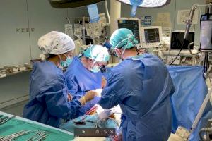 L'hospital La Fe de València lidera els trasplantaments de cor i fetge a Espanya