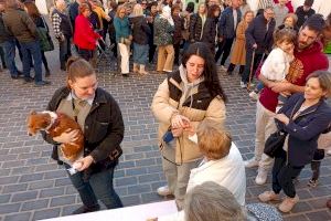 Récord de participación en las actividades organizadas en Sant Jordi para las fiestas de Sant Antoni