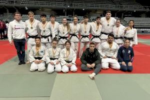 Alicante celebra con éxito el Campeonato Autonómico de judo