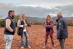 Marta Barrachina dona suport a les demandes del camp “perquè sense agricultors ni ramaders, Castelló no menja”
