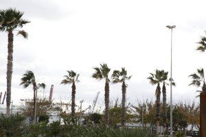 Temporal de vent este dissabte en la Comunitat Valenciana